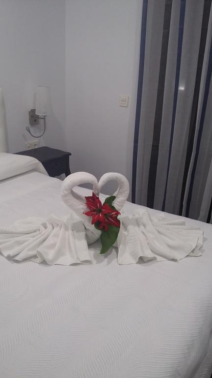 Double or Twin Room,256793657:JPEG